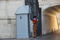 IMG_4705
