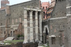 IMG_4758
