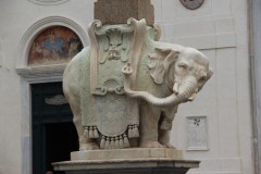 IMG_4814