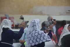 IMG_4904