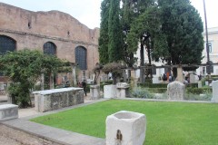 IMG_4917