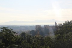 IMG_4964