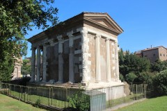 IMG_4982