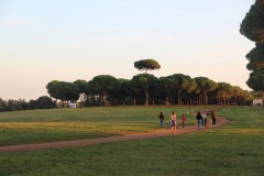 IMG_5035