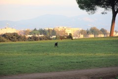 IMG_5038