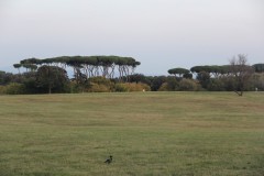 IMG_5039