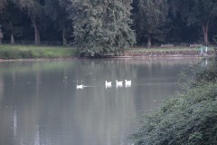 IMG_5041
