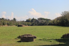 IMG_5056-Circo-di-Massenzio