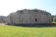 IMG_5059