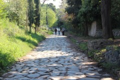 IMG_5070