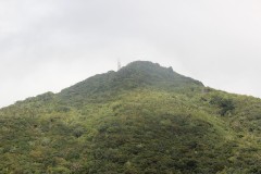 IMG_4716