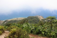 IMG_4722-Mt-Scenery