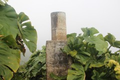 IMG_4726-Mt-Scenery