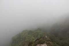 IMG_4728