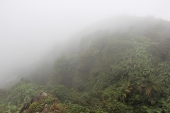 IMG_4729