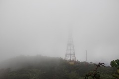 IMG_4730
