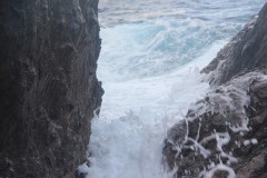 IMG_4754