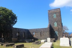 IMG_4659