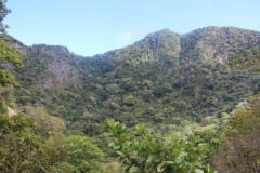IMG_4679-Mt-Mazinga-Quill-600m