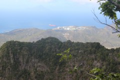 IMG_4691