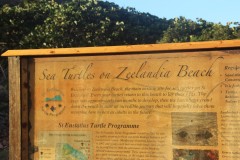 IMG_4703-Zeelandia-Bay