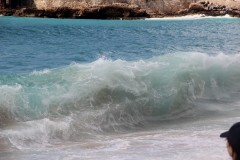 IMG_4409