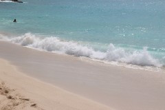 IMG_4423