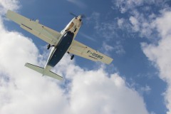 IMG_4427