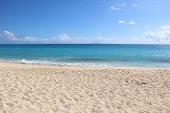 IMG_4438