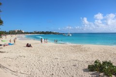 IMG_4446
