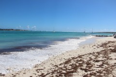 IMG_4471