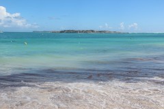 IMG_4472