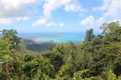 IMG_4481-Pic-Paradis-424m