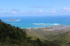 IMG_4489-Pic-Paradis