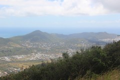 IMG_4492-Pic-Paradis