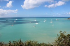 IMG_4517