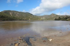 IMG_4584-St-Barthélemy-Grande-Saline
