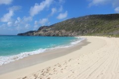 IMG_4591