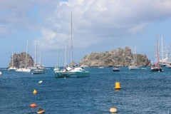 IMG_4600