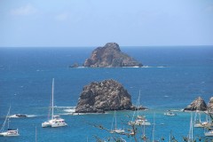 IMG_4618