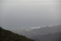 IMG_2357