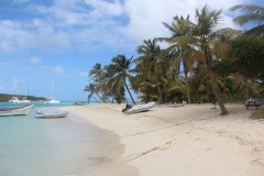 IMG_2452-Grenadines-Tobago-Cays