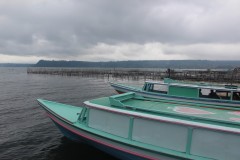 fotky-Indonésie-2013-1386-Danau-Ranau-Kotabatu