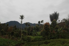 fotky-Indonésie-2013-1504-Danau-Gn.-Tujuh-1.996m