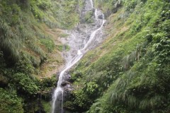 IMG_3334