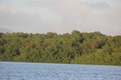IMG_3531