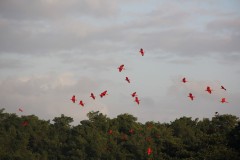 IMG_3543