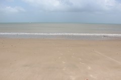 IMG_3645