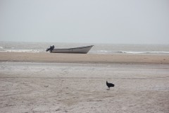 IMG_3665