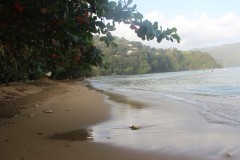 IMG_3759